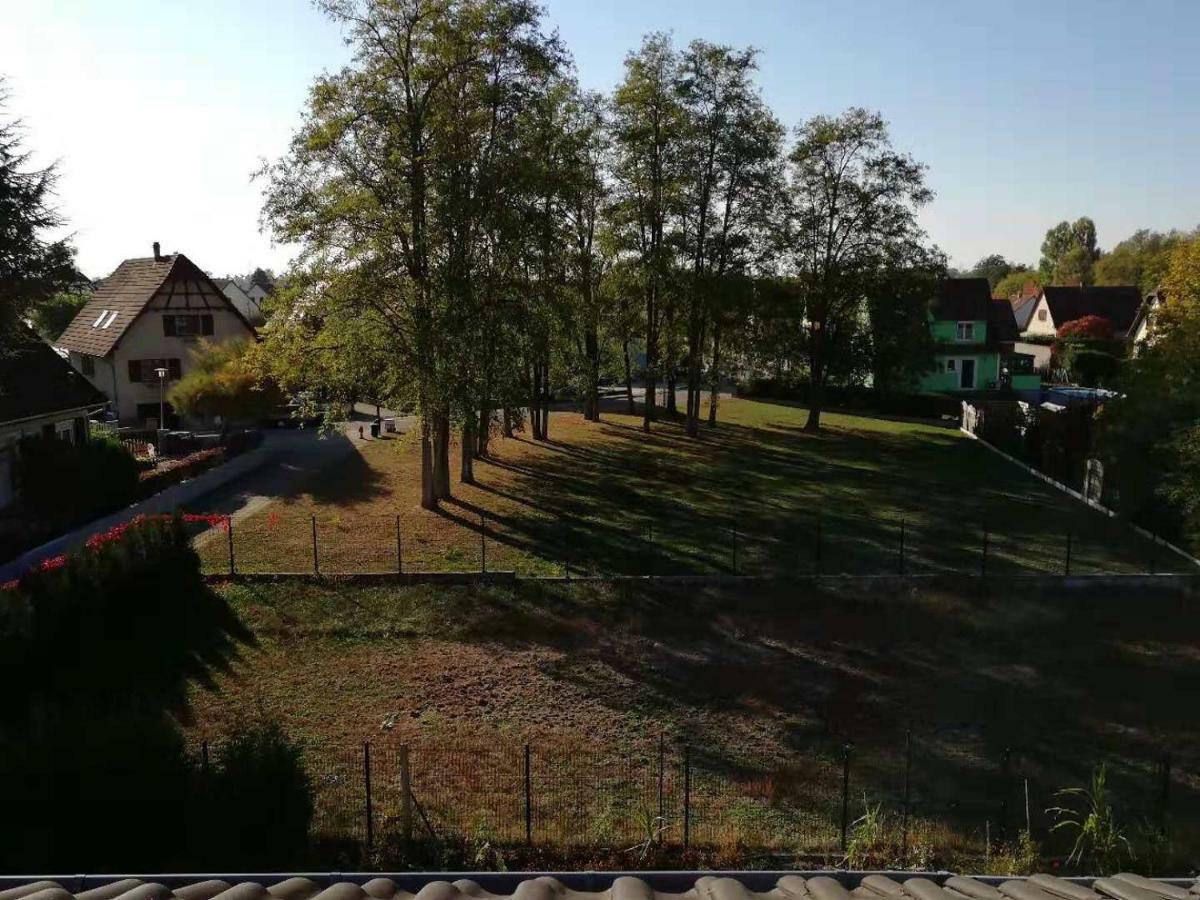 Appart Les Cerises Entre Strasbourg Et Haguenau Bischwiller Exterior photo