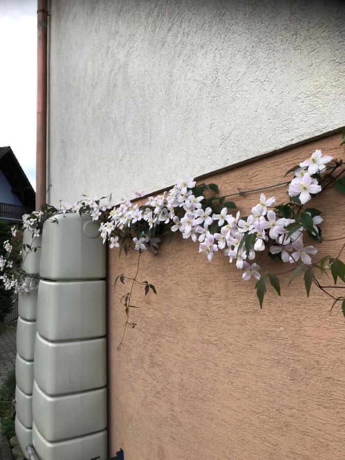Appart Les Cerises Entre Strasbourg Et Haguenau Bischwiller Exterior photo