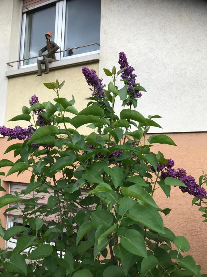 Appart Les Cerises Entre Strasbourg Et Haguenau Bischwiller Exterior photo